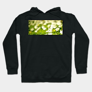 CELANDINE Hoodie